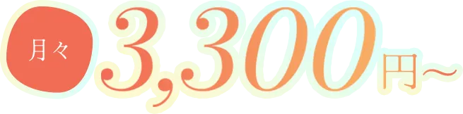 月々3,300円の色